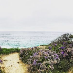 Meet your Posher, Erik